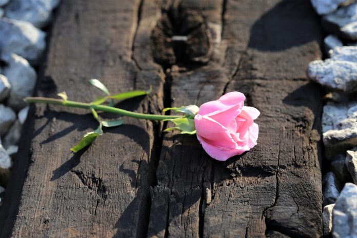 Sympathy Flowers Sympathy Flowers