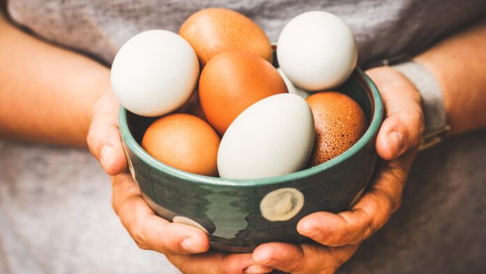 Is Egg Really great For Your Well-Being?
