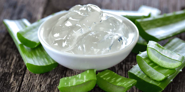 Men's Health Benefits Of Aloe Vera dissertation
