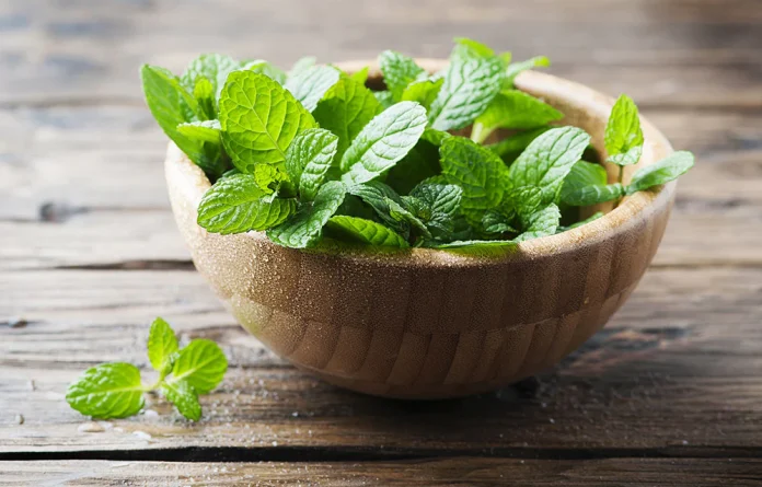 10-Health-Benefits-of-Pudina-Mint-Leaves-You-Must-Know