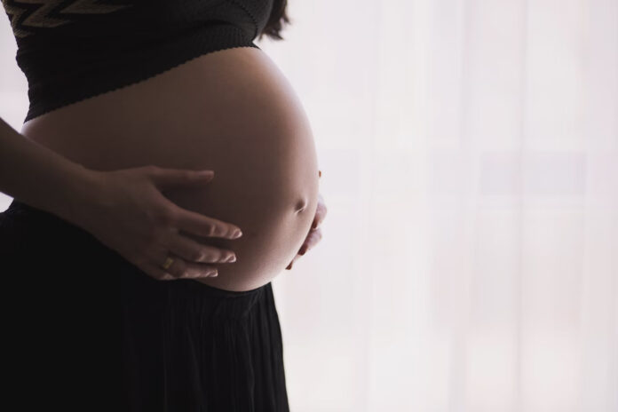 Becoming a Surrogate in 2024