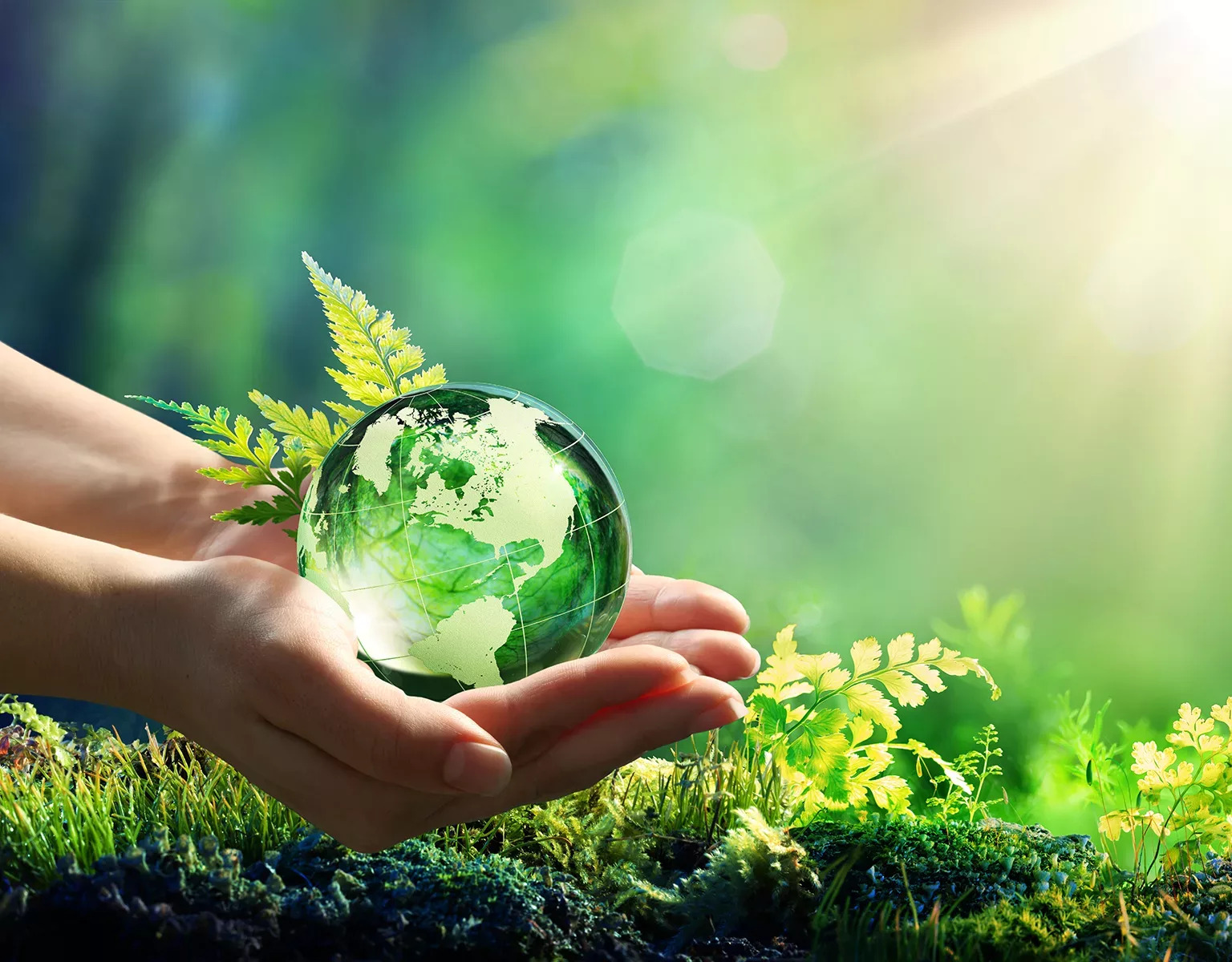 Green Innovations On Earth Day 2024 Paving The Way For A Sustainable Future Mind Setters