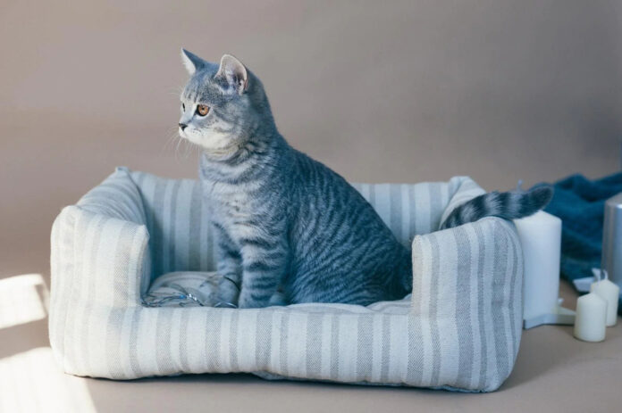 Hemp Pet Bed